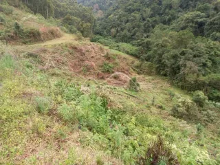 Área rural, foto 6
