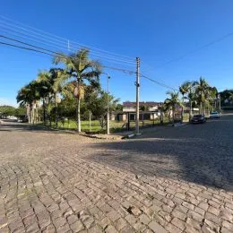 Vista externa de uma rua pavimentada com palmeiras em Lajeado.