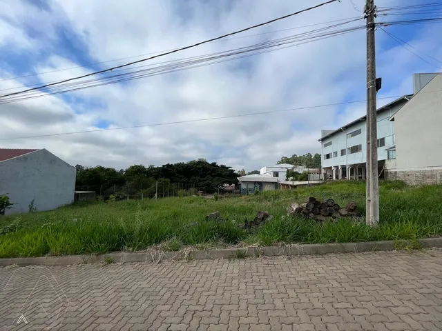 Terreno, foto 5