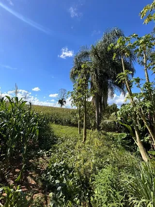 Área rural com 2 dormitórios, foto 15