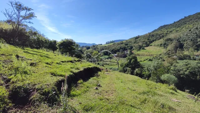 Vista panorâmica de uma colina verde com vegetação densa.