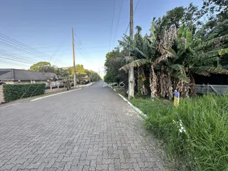 Vista da rua pavimentada com vegetação ao lado em Lajeado, Brasil.