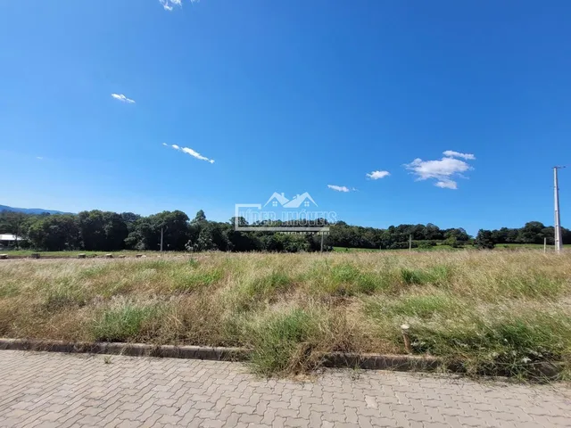 Terreno, foto 3