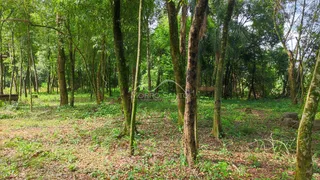 Área rural, foto 5