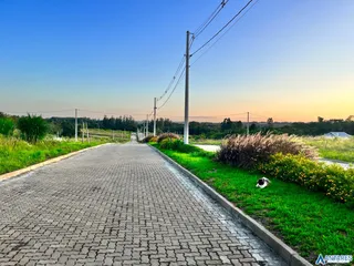 Terreno, foto 1