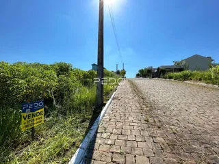 Vista da rua com vegetação densa em Lajeado, Brasil.