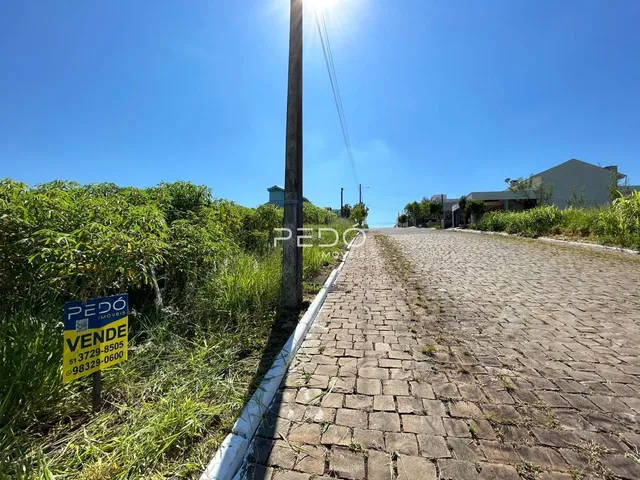 Vista da rua com vegetação densa em Lajeado, Brasil.