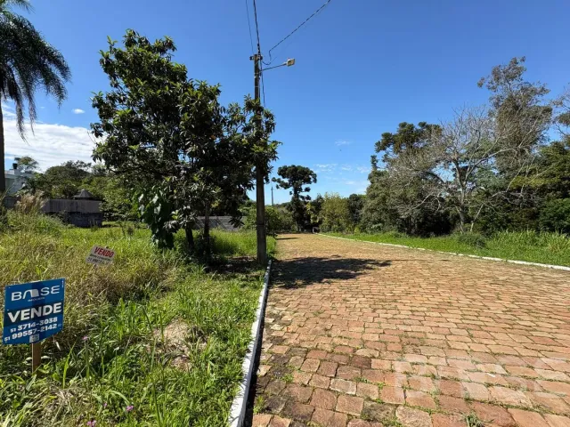 Terreno, foto 4