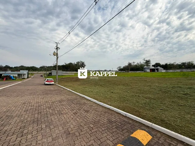 Terreno, foto 2