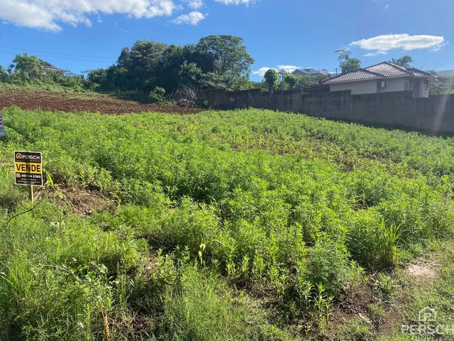 Terreno, foto 2