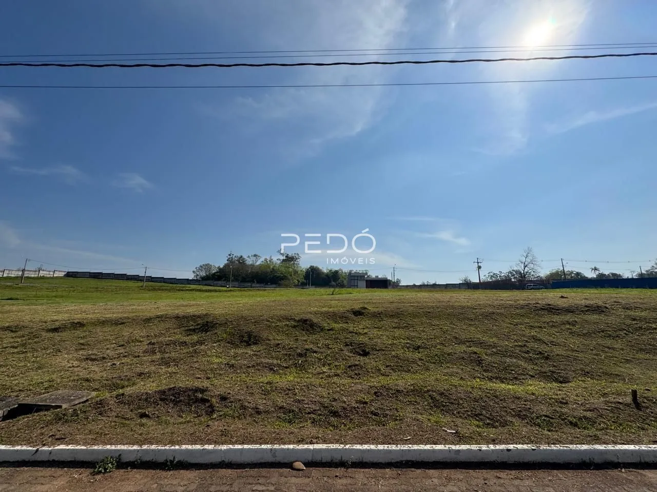 Vista de um campo aberto com vegetação seca em primeiro plano.