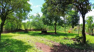 Um gramado verde com árvores e vegetação em um quintal aberto.