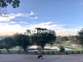 Vista de um terreno com árvores e um lago ao fundo.