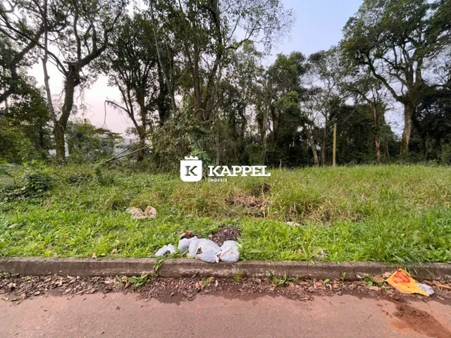 Vista externa mostrando grama e vegetação ao lado de uma estrada.
