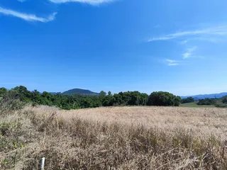 Terreno, foto 3