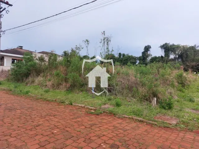 Terreno, foto 3