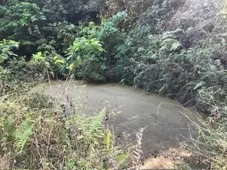 Imóvel, foto 2