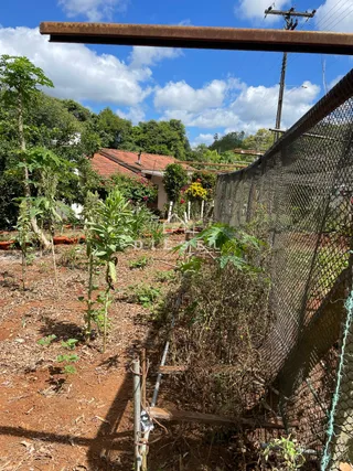 Área rural com 2 dormitórios, foto 3