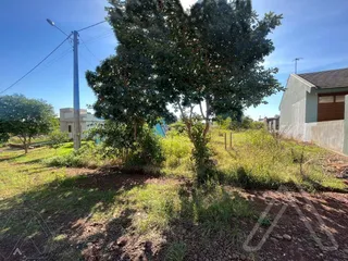 Terreno, foto 1