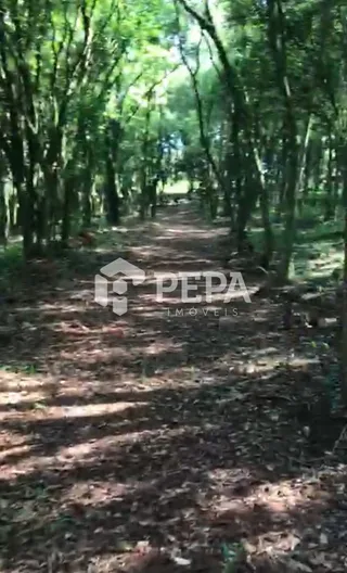 Terreno, foto 2