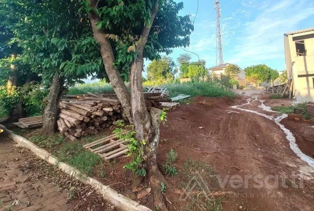 Terreno