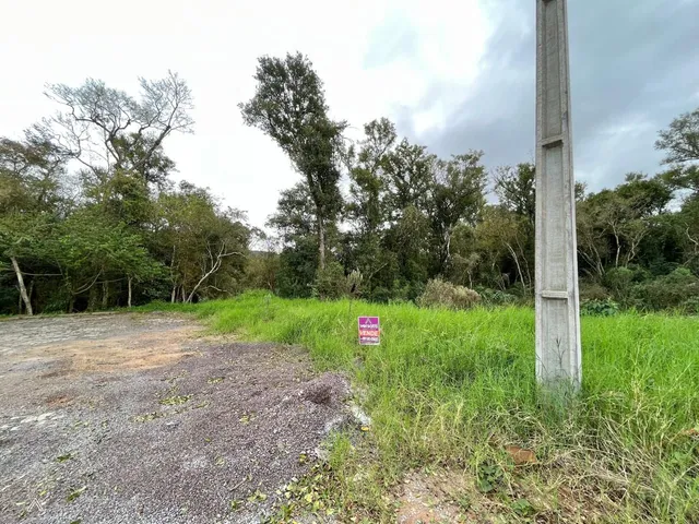 Terreno, foto 2