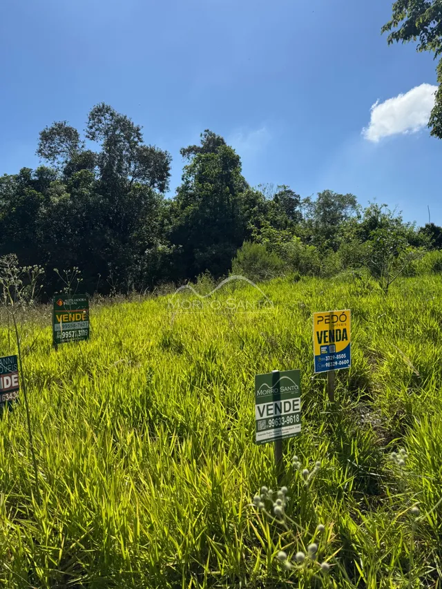 Paisagem de campo com grama alta e vegetação sob um céu azul.