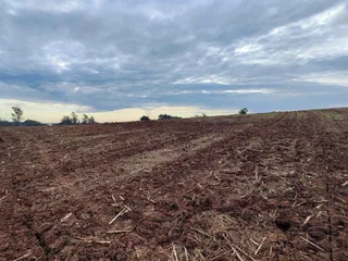 Terreno, foto 5