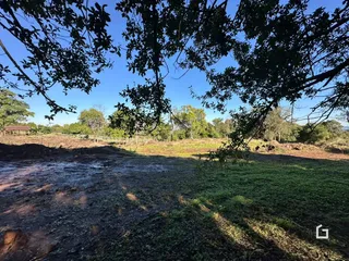 Paisagem de campo com vegetação e terreno aberto.