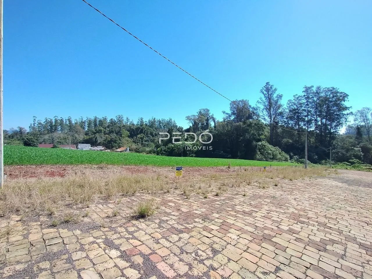 Terreno, foto 1