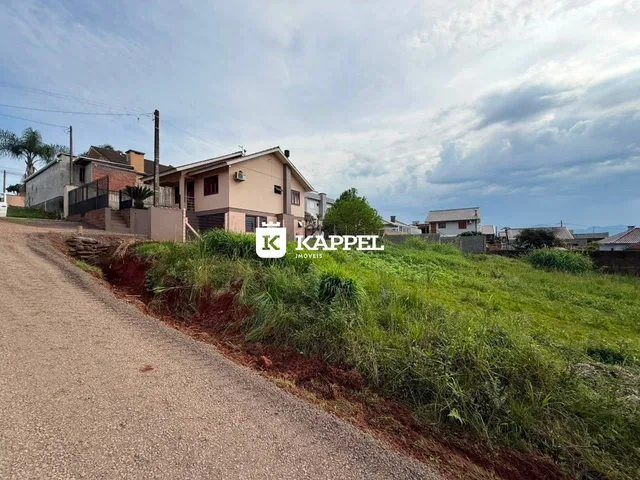 Terreno, foto 3