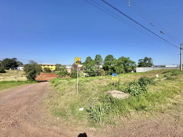 Uma estrada de terra leva a uma área de campo com vegetação.