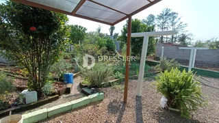Jardim externo com plantas e estrutura de pérgola.