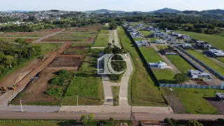 Terreno, foto 9
