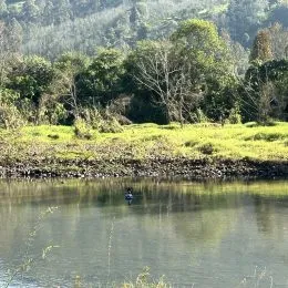 Área rural com 2 dormitórios, foto 7