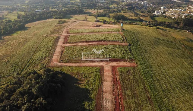 Terreno, foto 4