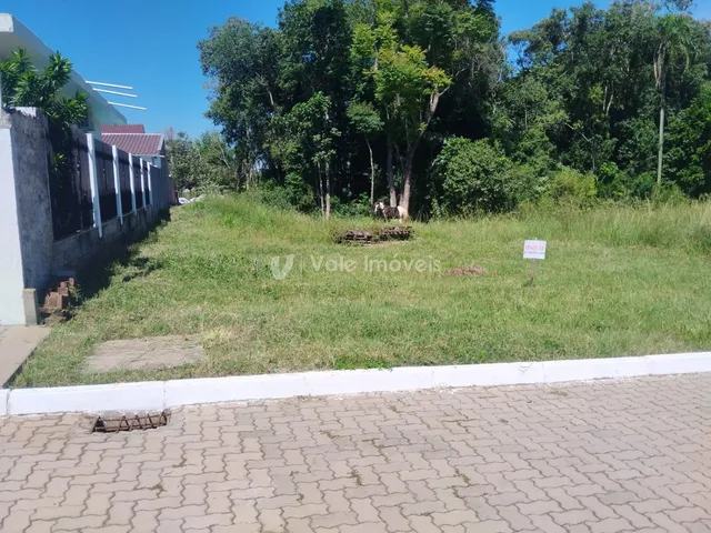 Terreno, foto 3