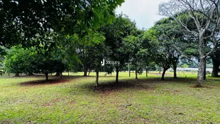 Área rural com 3 dormitórios, foto 10