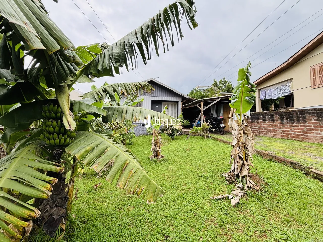 Quintal com gramado verde e vegetação tropical ao redor de uma casa.