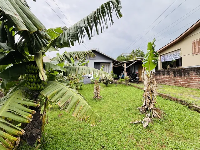 Quintal com gramado verde e vegetação tropical ao redor de uma casa.