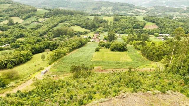Imóvel, foto 3
