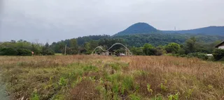Paisagem de campo seco com uma colina arborizada ao fundo.