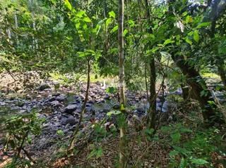 Área rural, foto 22