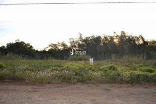 Vista de uma área de vegetação e terreno aberto em Lajeado.