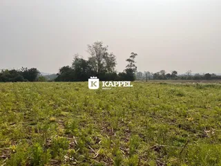 Paisagem de campo aberto com vegetação verde no primeiro plano.