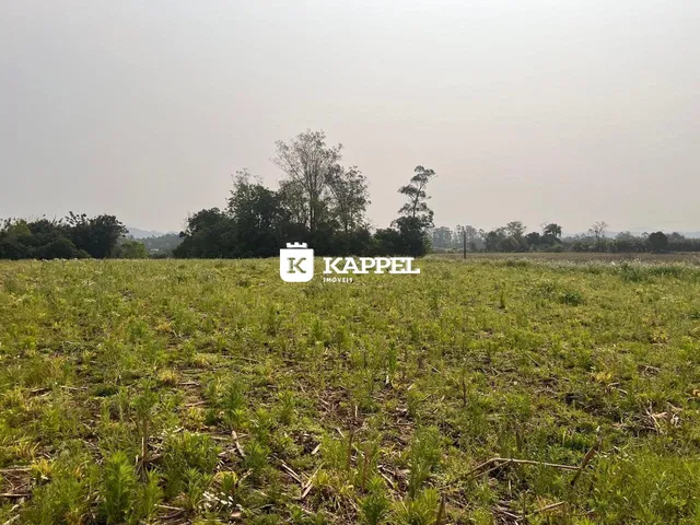 Paisagem de campo aberto com vegetação verde no primeiro plano.