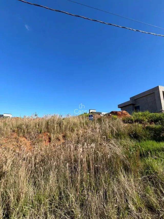 Terreno, foto 2