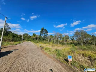 Terreno, foto 8