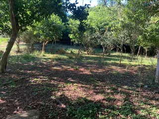Área rural com 1 dormitório, foto 12