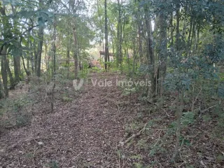 Área rural, foto 8